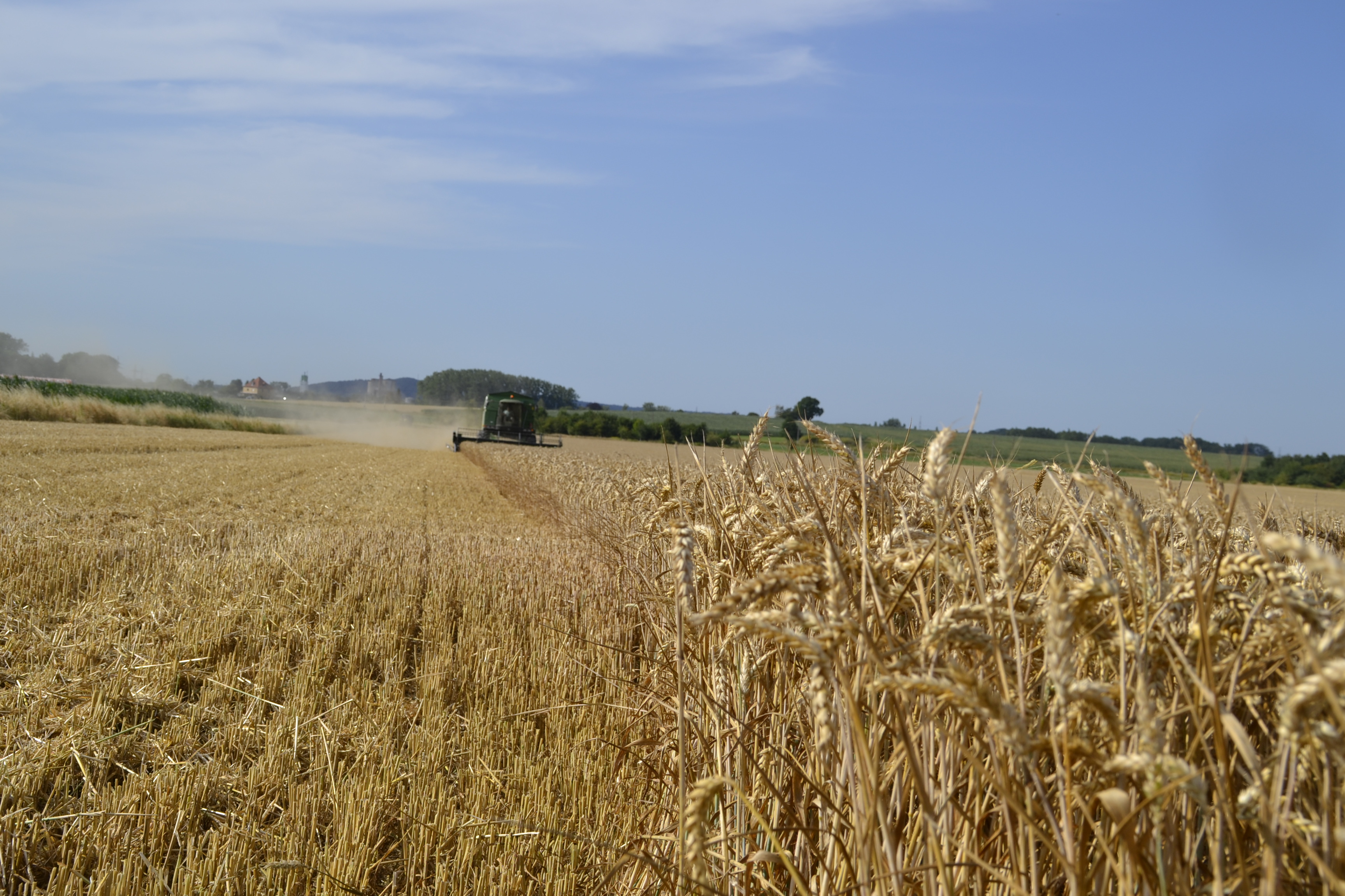 Holtensen in der Gemeinde Wennigsen (Deister) Die Dorfgemeinschaft