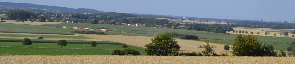 Holtensen in der Gemeinde Wennigsen (Deister) Die Dorfgemeinschaft